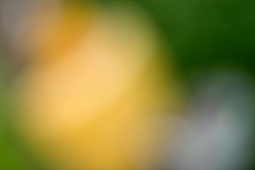 Abstract blurred yellow and green foggy background