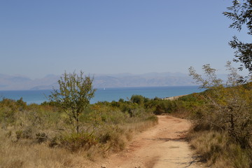 Holiday