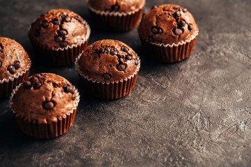 Chocolate Muffin with Chocolate Chips. Food background wiht copyspace.