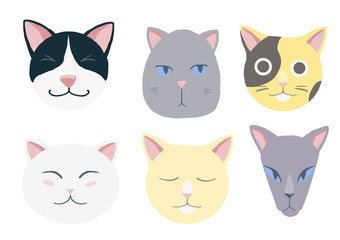 Nice cats vector set