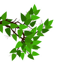 Green Leaves Vector Background