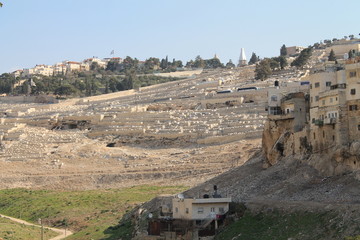 Fototapeta na wymiar Landscape (Israel)