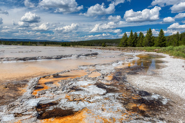 Hot Springs in Yellowstone National Park.