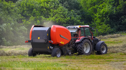 activité pastorale dans les alpes 