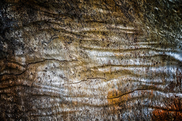 The old wood texture with natural patterns and cracks on the surface as background