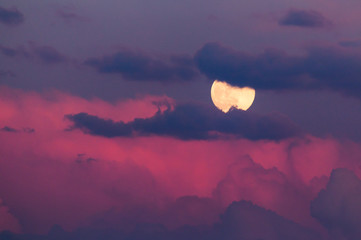 Moon in the pink clouds at sunset