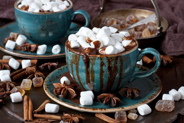 Cup of creamy hot chocolate with melted marshmallows 