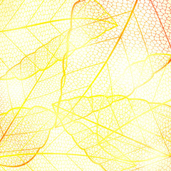 Bright orange golden abstract autumn leaf background