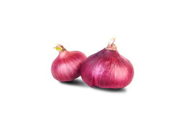 Young fresh onion purple with a little sprout greens on white isolated background