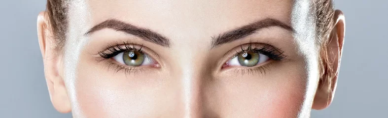 Foto op Aluminium Closeup shot of woman eye with day makeup. Long eyelashes © Svetlana Fedoseeva