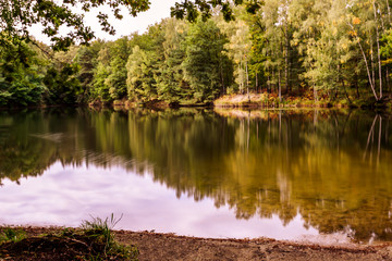 Obraz premium Waldsee in Sachsen