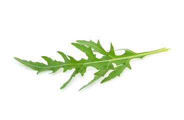 Fototapeta premium Sweet rucola salad or rocket lettuce leaves isolated on white background
