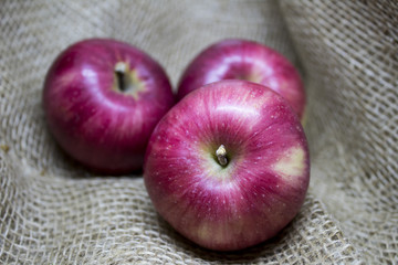 apples
