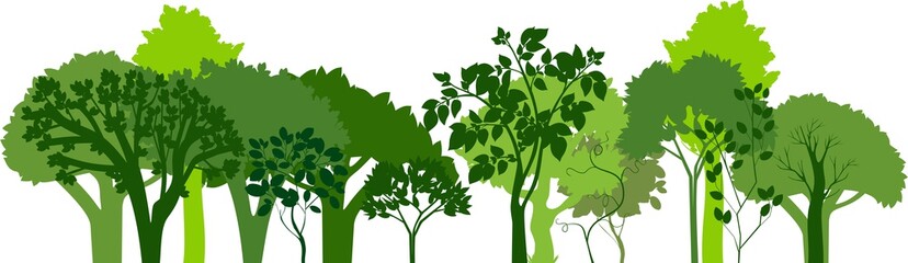 Group of silhouettes of green trees. Horizontal banners of silhouettes of deciduous trees