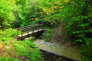 Wooden bridge over creek