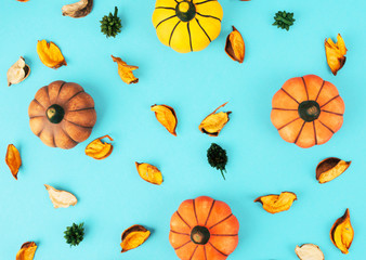 Decorative pumpkins on trendy blue background with fall leaves.