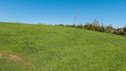 Fototapeta na wymiar Green meadow with some trees under a clear blue sky