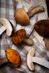 Wild  forest mushrooms. style rustic.