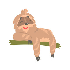 Cute cartoon sloth character lying on the tree, funny tropical animal vector Illustration