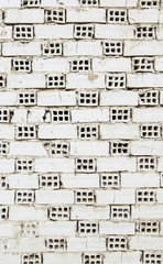 White mud bricks with holes