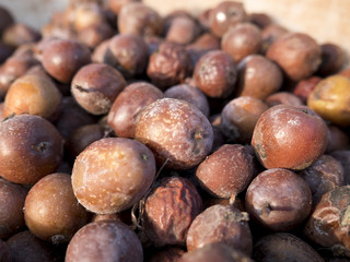 ripe sorbus domestica fruit