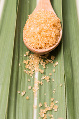 Spoonful of brown sugar on wood background