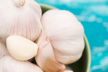 Garlic on green wood background