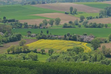 Fototapeta na wymiar Lectoure, parcelle jaune du paysage, Occitanie, Gers, France
