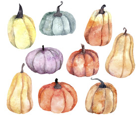 Watercolor pumpkins set