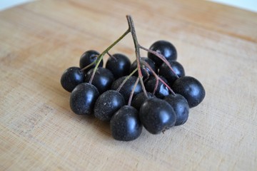Black Rowan. Aronia.
