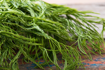 Thai local vegetable, Senegalia pennata or Acacia pennata