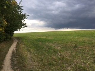 Obraz premium country path, sky, country, autumn, clouds, tree