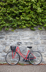 Fototapeta na wymiar rotes Fahrrad