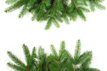 Christmas tree branches on a white background. View from above.