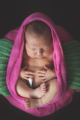 tender newborn baby sleeping in a pink wrap © natalialeb