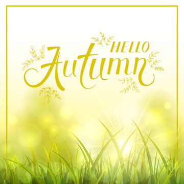Autumn nature with grass and shinning sun