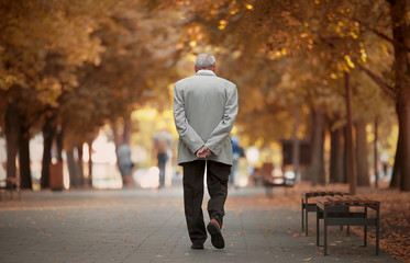 Old man walking in autumn park - 172073578