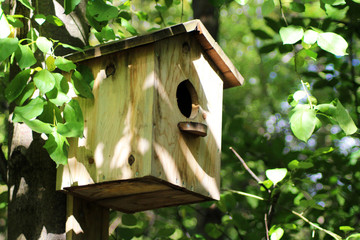 Little Birdhouse over wooden table outdoors in the garden