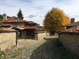 Traditional houses in the village Zheravna