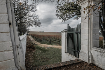 Gateway to Vineyard