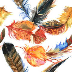 Watercolor bird feather pattern from wing. Aquarelle feather for background, texture, wrapper pattern, frame or border.