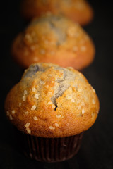Close up Blueberries muffin