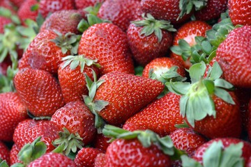 Fresas 