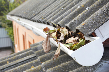 Roof gutter with fallen leaves in autumn. Rain gutter cleaning.