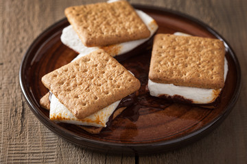homemade marshmallow s'mores with chocolate on crackers