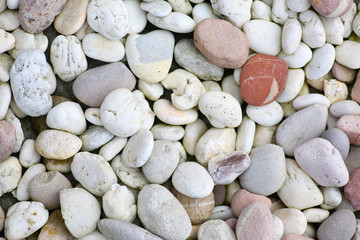 Fototapeta premium pebble stone background.