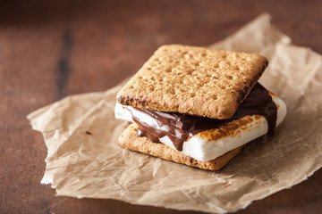 homemade marshmallow s'mores with chocolate on crackers