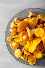 raw fresh chanterelle mushrooms on gray background