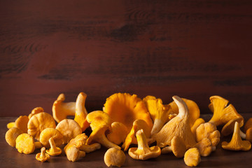raw fresh chanterelle mushrooms on dark background