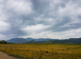 Mountain forest landscape at the foot of the Caucasus Mountains, Adygea, Russia